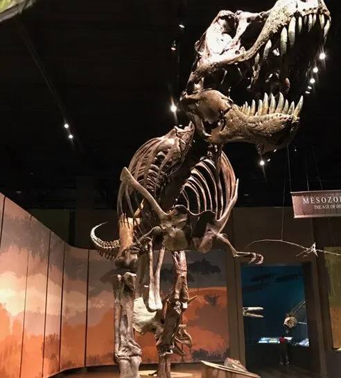 The Tellus Museum Review Cartersville