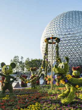 Epcot Flower and Garden Festival