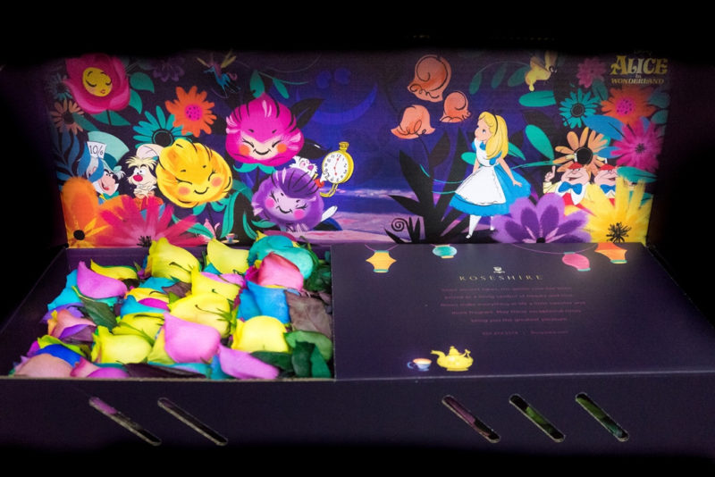 Roseshire x Disney Wonderland Giveaway Savvy Mama Lifestyle