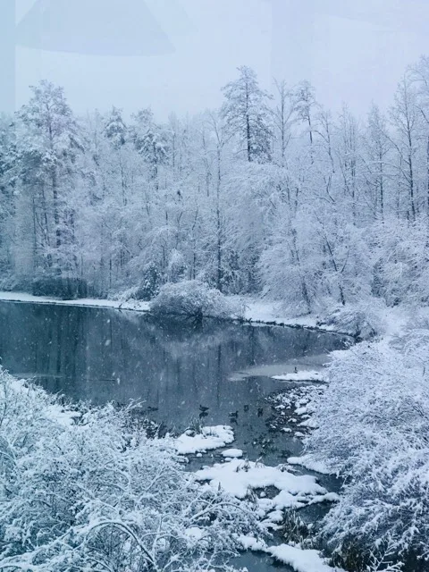 Snow Day, Snow in Atlanta, Atlanta Snow Day 2017, Winter Storms in Atlanta