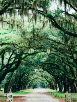 Weekend Getaways, Georgia Weekend Getaways, Georgia travel destinations