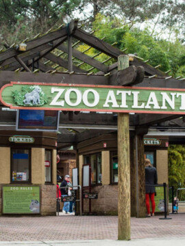 Zoo Atlanta, Atlanta Zoo, Atlanta Family Entertainment, Atlanta Kids Activities