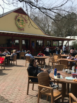 Zoo Atlanta Food Options, Zoo Atlanta, Zoo Atlanta Eats, Visiting Zoo Atlanta Tips
