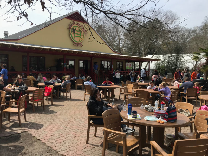 ZOO ATLANTA FOOD OPTIONS & TIPS FOR PLANNING YOUR VISIT