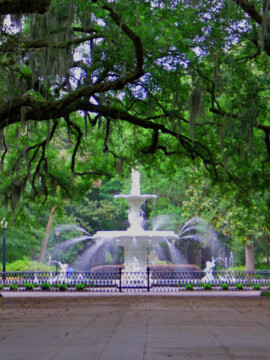 Savannah Sightseeing, Savannah Family Destinations, Savannah Tourist Spots, Visit Savannah