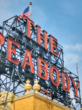 The Memphis Peabody Hotel, The Peabody Memphis Hotel, The Peabody Hotel