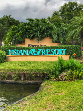 Sheraton Vistana Resort Orlando, Sheraton Vistana Orlando Review, Sheraton Vistana Resort