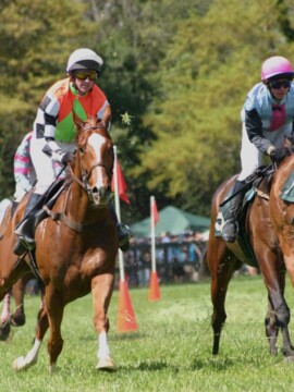 Things to do in Aiken SC, Aiken South Carolina Things To Do, Aiken South Carolina Attractions, Thoroughbred Country Things To Do