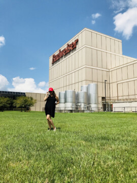 Beermaster Tour, Budweiser Tour, Budweiser Beer Tour, Cartserville Tour