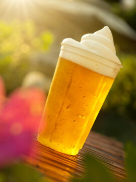 Drinking Around the World, Epcot, Epcot Tour Guide, Epcot Drinking Guide, Epcot food and wine festival
