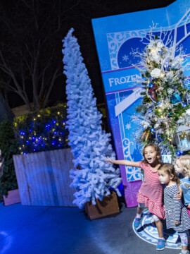 Disney World Free Christmas Activities, What is Free at Disney During Christmas, Disney Free, Disney Christmas, Disney During the Holidays