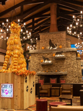Howl-O-Ween, Fall Family Travel, Great Wolf Lodge, Great Wolf Lodge Tips, Howl-O-Ween at Great Wolf Lodge, Travel Destinations for Kids