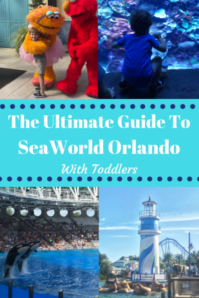 The best SeaWorld Orlando Toddler Attractions! See what's perfect for their height, tips on strollers in the park and attractions they can do! #SeaWorld #SeaWolrdOrlando