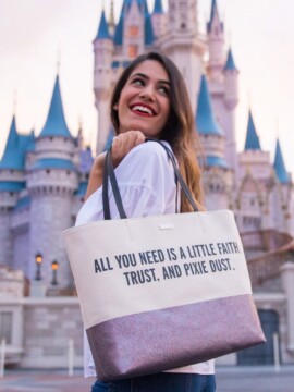 disney world shopping tips, Disney world shopping guide, Disney world shopping tips, how to save money on Disney souvenirs