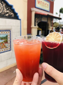 Epcot's International Food & Wine Festival, Guide To Epcot Food & Wine Festival, Epcot Food Marketplaces, Epcot Tips, Disney World Tips