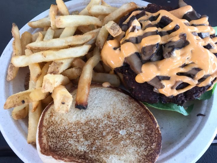 Volcano Bay Food Options For Your Universal Orlando Waterpark Day