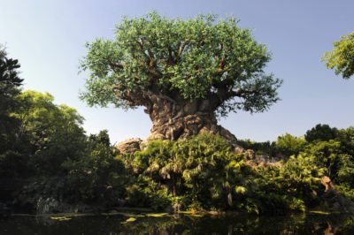 Animal Kingdom Itinerary, Planning A Day At Disney's Animal Kingdom, Rides at Disney's Animal Kingdom Park, Animal Kingdom Park Guide