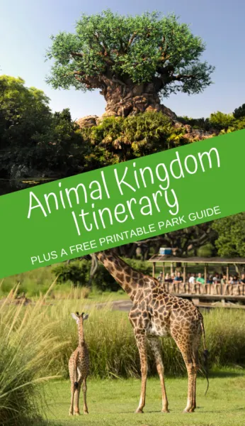 Animal Kingdom Itinerary: Plan the ideal day at Disney's Animal Kingdom with this itinerary. Plus, print a FREE park guide to help you plan the day! #AnimalKingdom #WaltDisneyWorld #DisneyWorldPlanning #DisneyWorldVacation #DisneyTips #DisneyWorldTips