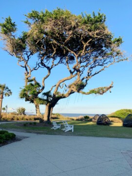 Southern US Travel, Family Travel, SouthEast Travel With Kids, Best Places To Visit With Kids