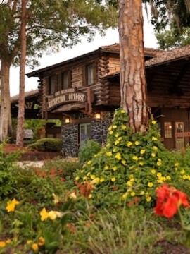 Fort Wilderness Campsites, Camping at Disney World, Disney World Camping