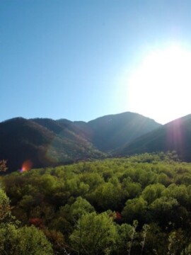 Pigeon Forge Travel Tips, Pigeon Forge Guide, Pigeon Forge Bucket List, Must-Do Pigeon Forge