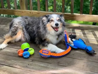 Nerf Dog Toys, Durable Dog Toys, Nerf Dog Products, Dog Chew Toys That Last