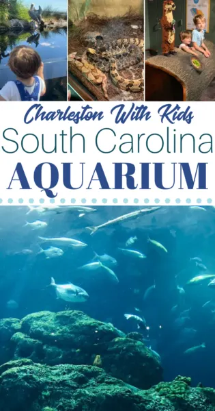 Wondering what to do in Charleston SC with kids? Visit the South Carolina Aquarium! Read expert tips on can't miss South Carolina Aquarium exhibits that kids will love. #Charleston #FamilyTravel #Travel #SouthCarolina #TravelingWithkids