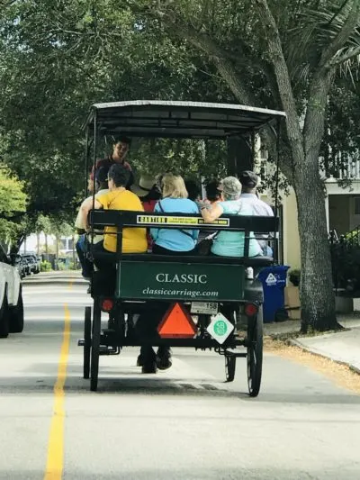 Charleston Carriage Ride, Historic Charleston Tours, Horse-drawn Charleston Tours