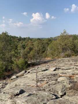 Panola Mountain State Park Hiking, Panola Mountain State Park Georgia, Panola Mountain Park