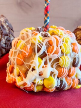 Candy Coated Caramel Apples, Homemade Caramel Apples, Caramel Apples Dipped in Candy