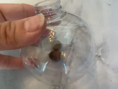 Natural Christmas Ornament, DIY Christmas Ornament, Holiday Ornament, Christmas Tree Decor, Natural Christmas Tree Decor