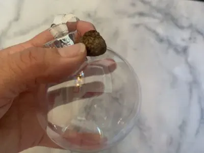 Natural Christmas Ornament, DIY Christmas Ornament, Holiday Ornament, Christmas Tree Decor, Natural Christmas Tree Decor