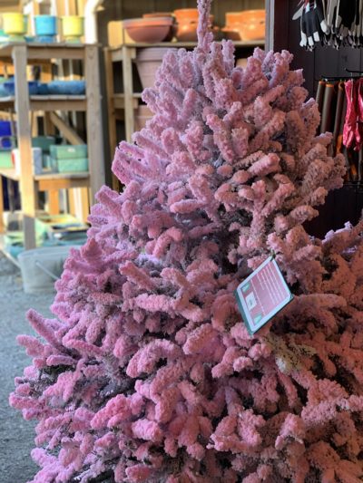 Christmas Tree, Pink Christmas Tree Atlanta, Real Atlanta Christmas Trees