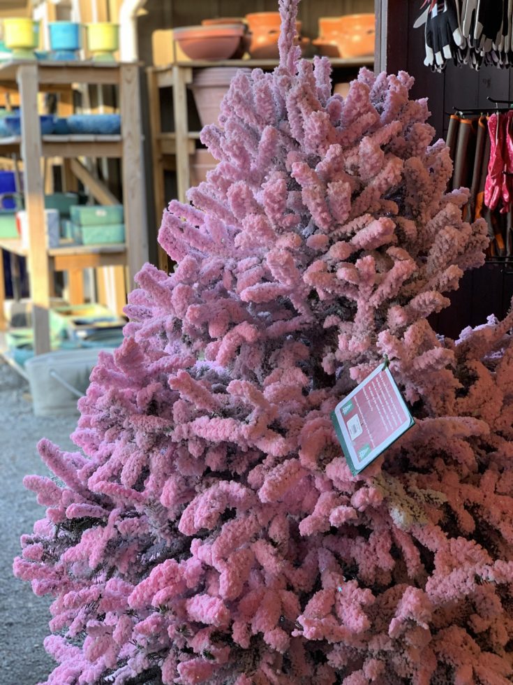 Where To Buy A REAL Flocked Christmas Tree In Atlanta