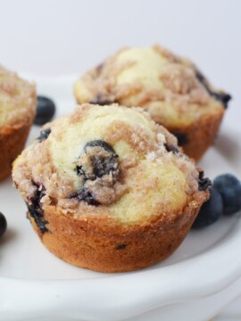 Blueberry Streusel Muffin Recipe