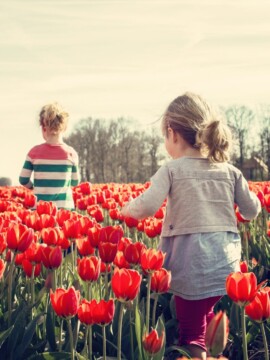 Spring Activities For Kids, Printable Spring Bucket List For Kids