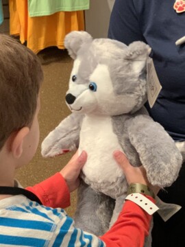 Build-A-Bear At Great Wolf Lodge, Great Wolf Souvenirs For Kids
