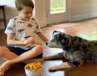 Pumpkin Dog Bones, Pumpkin Dog Treats