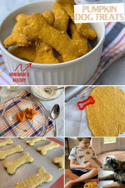 These homemade pumpkin dog treats are easy and smell amazing. They're packed with healthy ingredients that your dog will love too! #DogTreats #HomemadeDogTreats #HomemadeDogBones #DogBones #DogRecipes #FallBaking