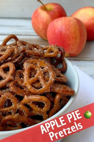 If you love apple pie, you've got to try this snack! These Apple Pie Spiced Pretzels are sweet and salty, then baked to snacking perfection. 