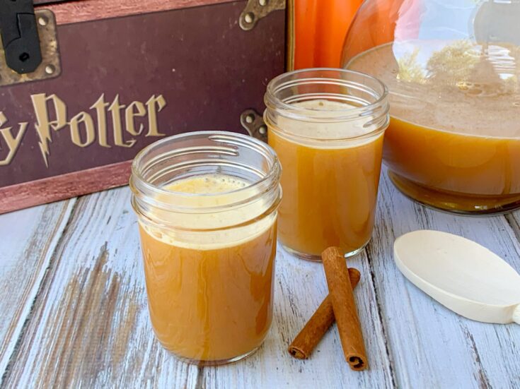 Copycat Universal Studios Harry Potter Pumpkin Juice Recipe