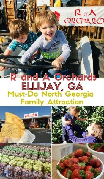 Planning a trip to North Georgia? See why R and A Orchards is a must do for families all year round. 