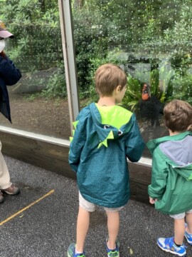 COVID-Friendly Zoo Atlanta