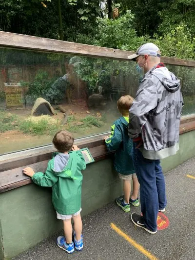 Covid-Friendly Zoo Atlanta 2020