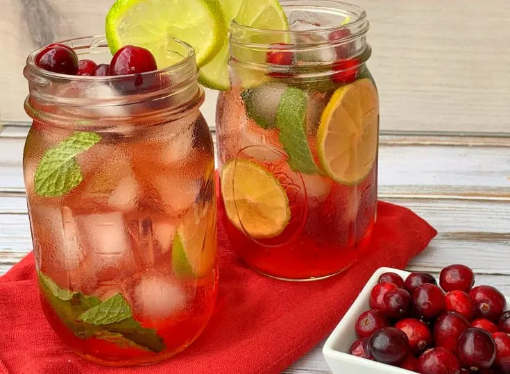 Cranberry Mojito Recipe, Christmas Cocktail Mojito Recipe