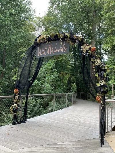 Fernbank Museum Woodlands Spirits 2020 Fernbank Museum Woodlands Spirits 2020