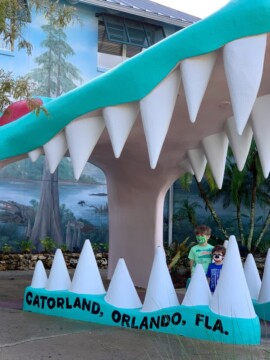 Is Gatorland Worth It With Kids, Gatorland Orlando, Orlando With Kids