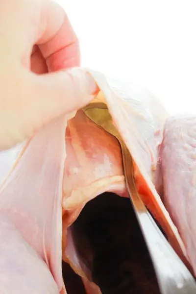 Separating turkey skin from the meat