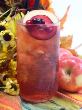 Plum Apple Cider Toddy Recipe (Fall Cocktail)