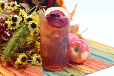 Plum Apple Cider Toddy Recipe (Fall Cocktail)